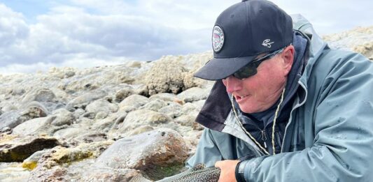 stillwater fly lines