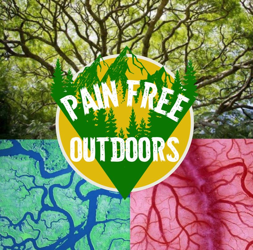 Tips to Stay Healthy