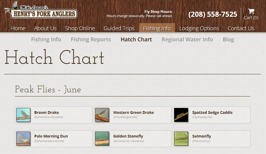 fly fishing henry's fork