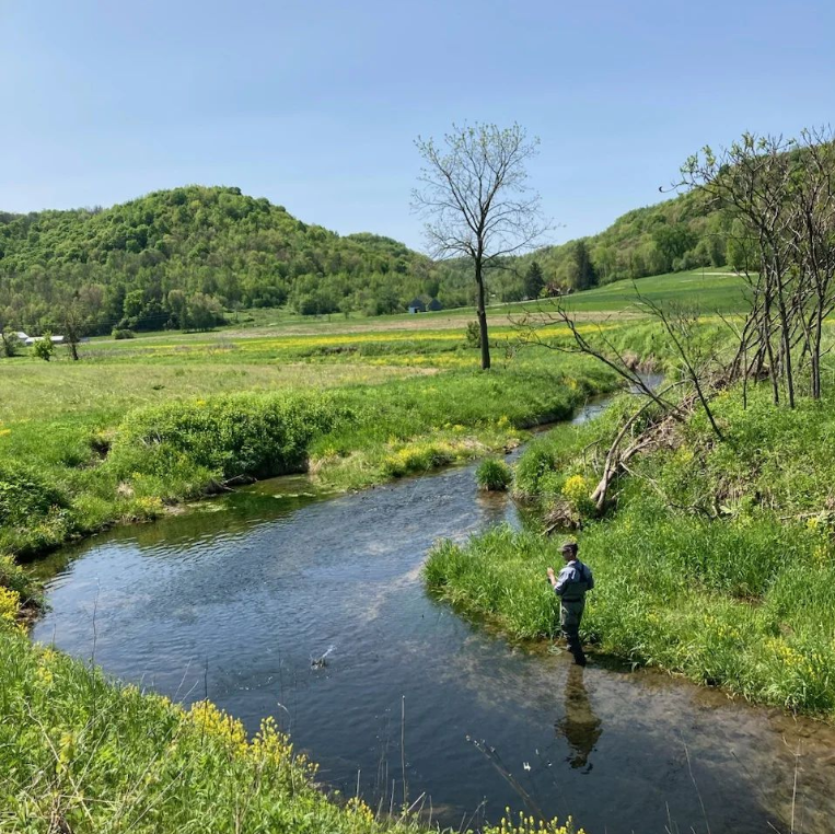 driftless fly fishing