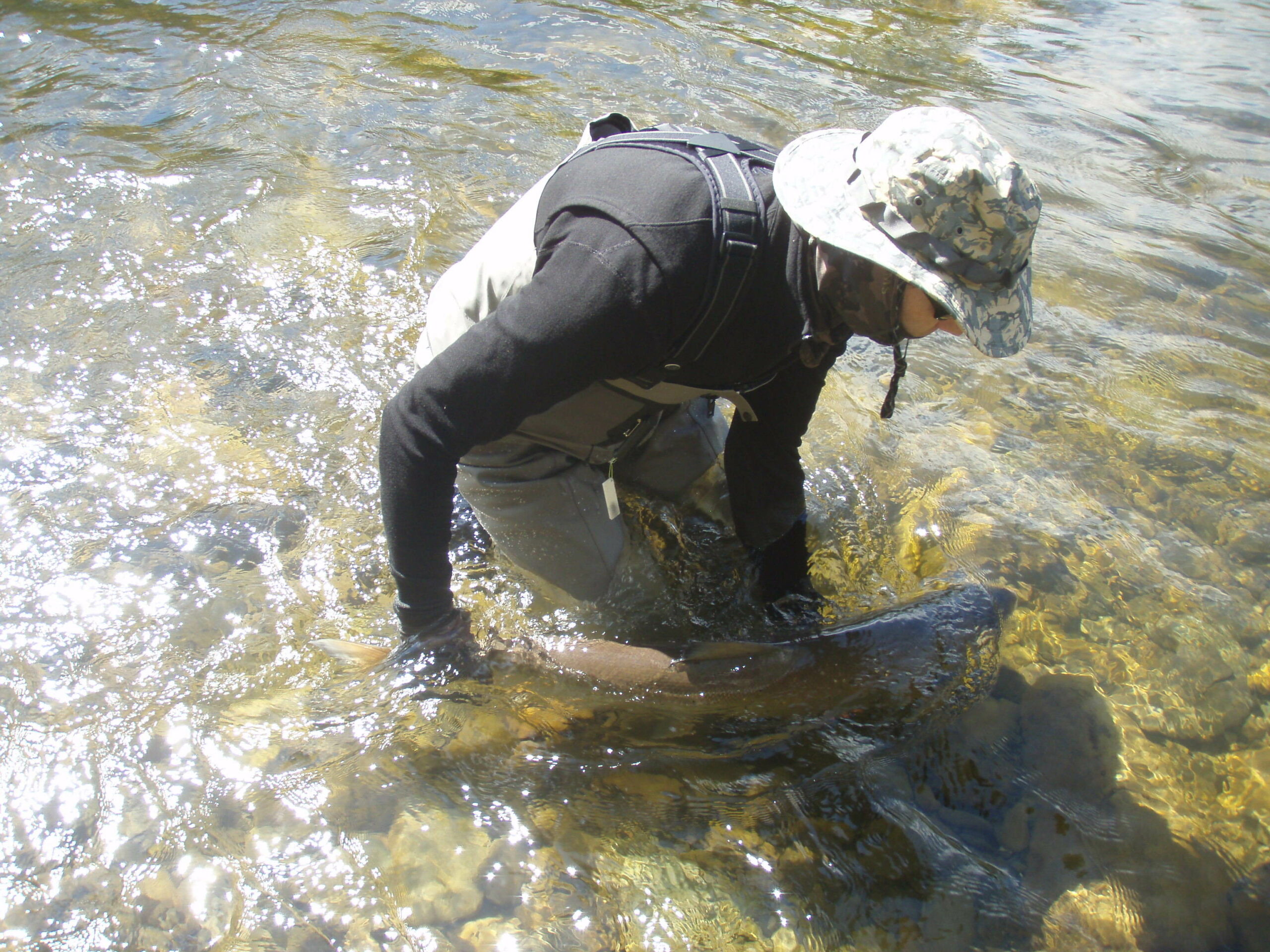 fly fishing for atlantic salmon