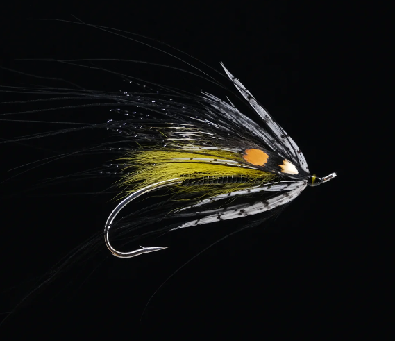 fly fishing for atlantic salmon