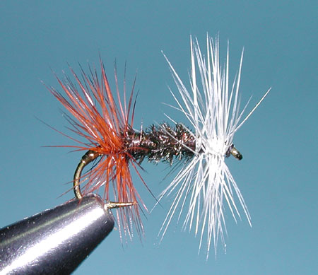 fly fishing henry's fork