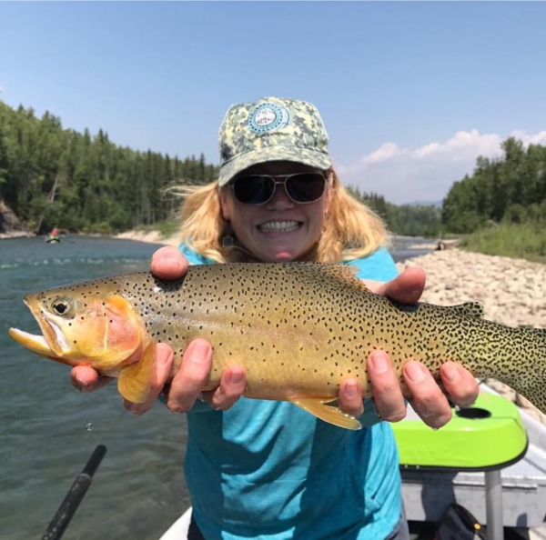 driftless fly fishing