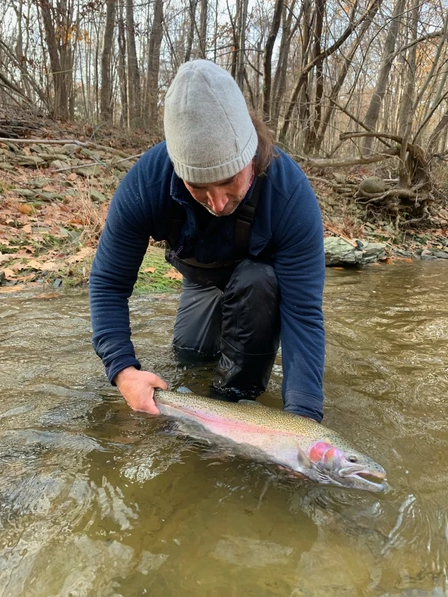 save the boundary waters