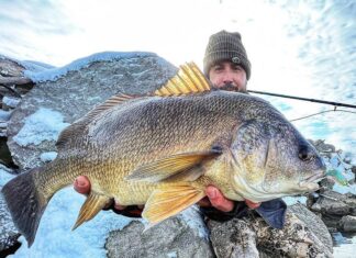 Great Lakes Dude #4 – Skinny Water Fishing with Dave Hurley – Drum Fish, Carp, Spotfin Croaker skinny water