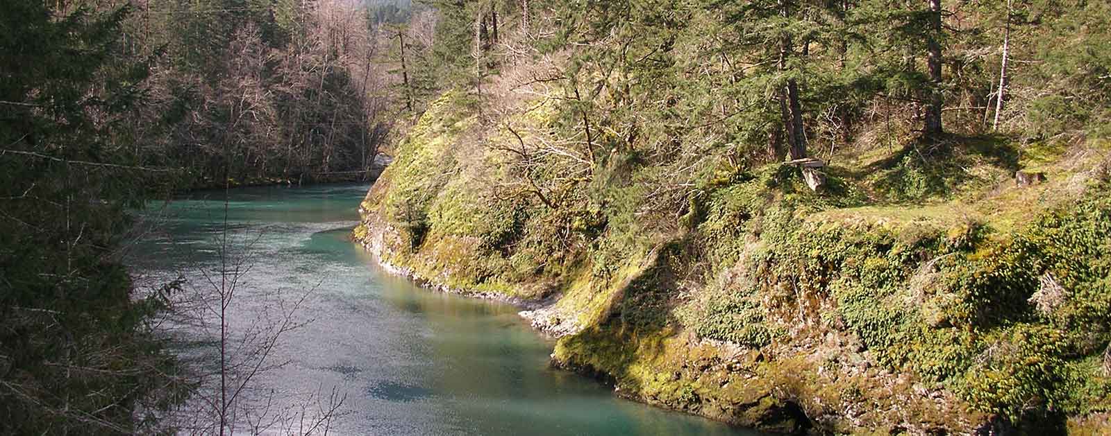 Olympic Peninsula Fly Fishing