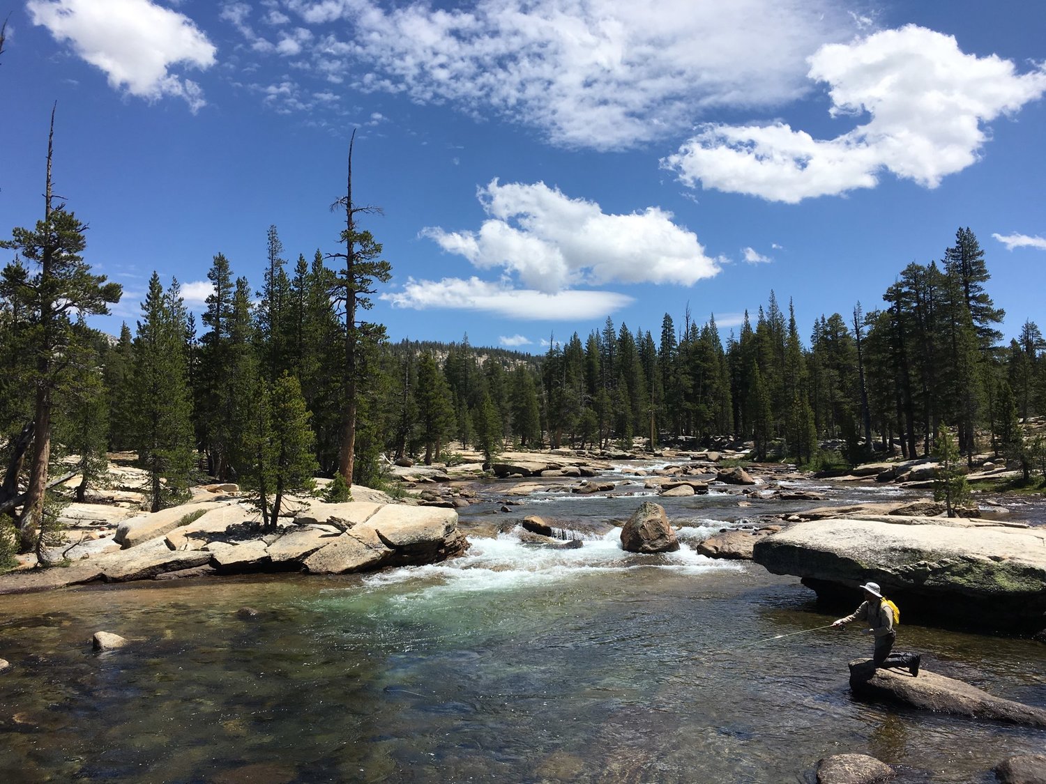 yosemite fly fishing