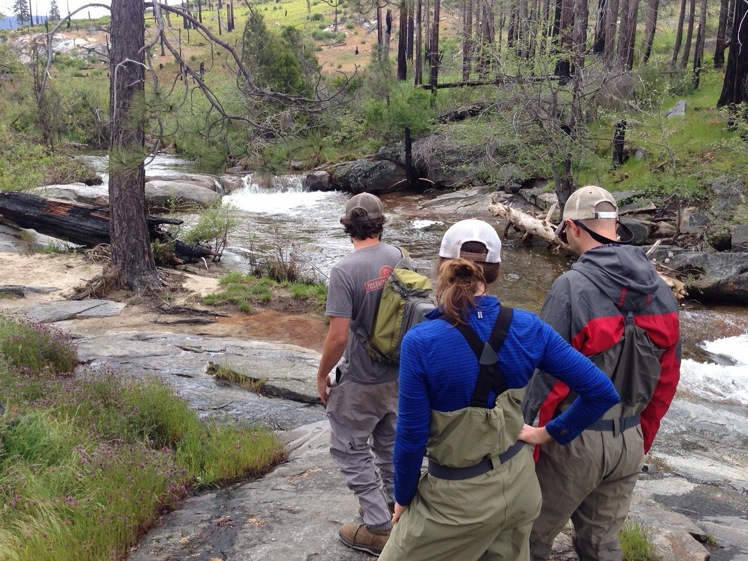yosemite fly fishing