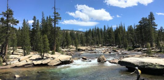 yosemite fly fishing