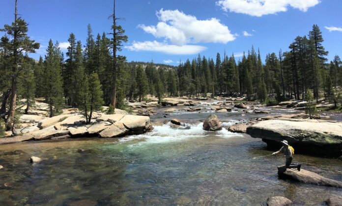 yosemite fly fishing