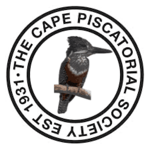 small stream fly fishing