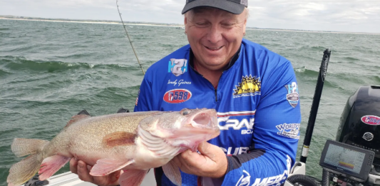 walleye fishing