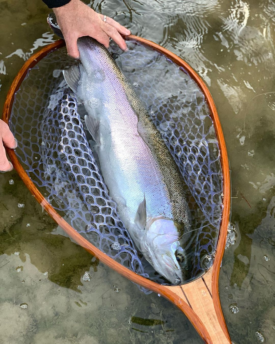 grand river fly fishing