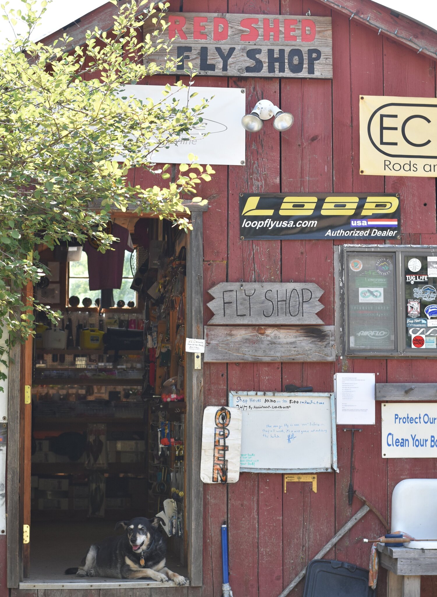 red shed fly shop