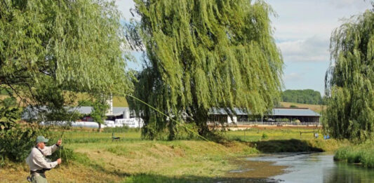 Mossy Creek Fly Fishing