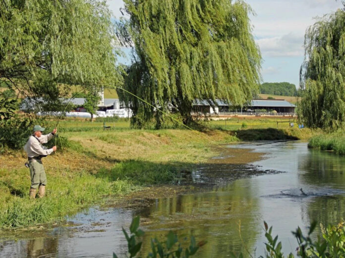 Mossy Creek Fly Fishing