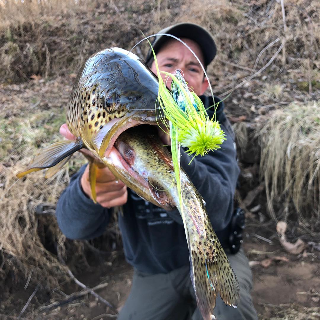 white river fly fishing