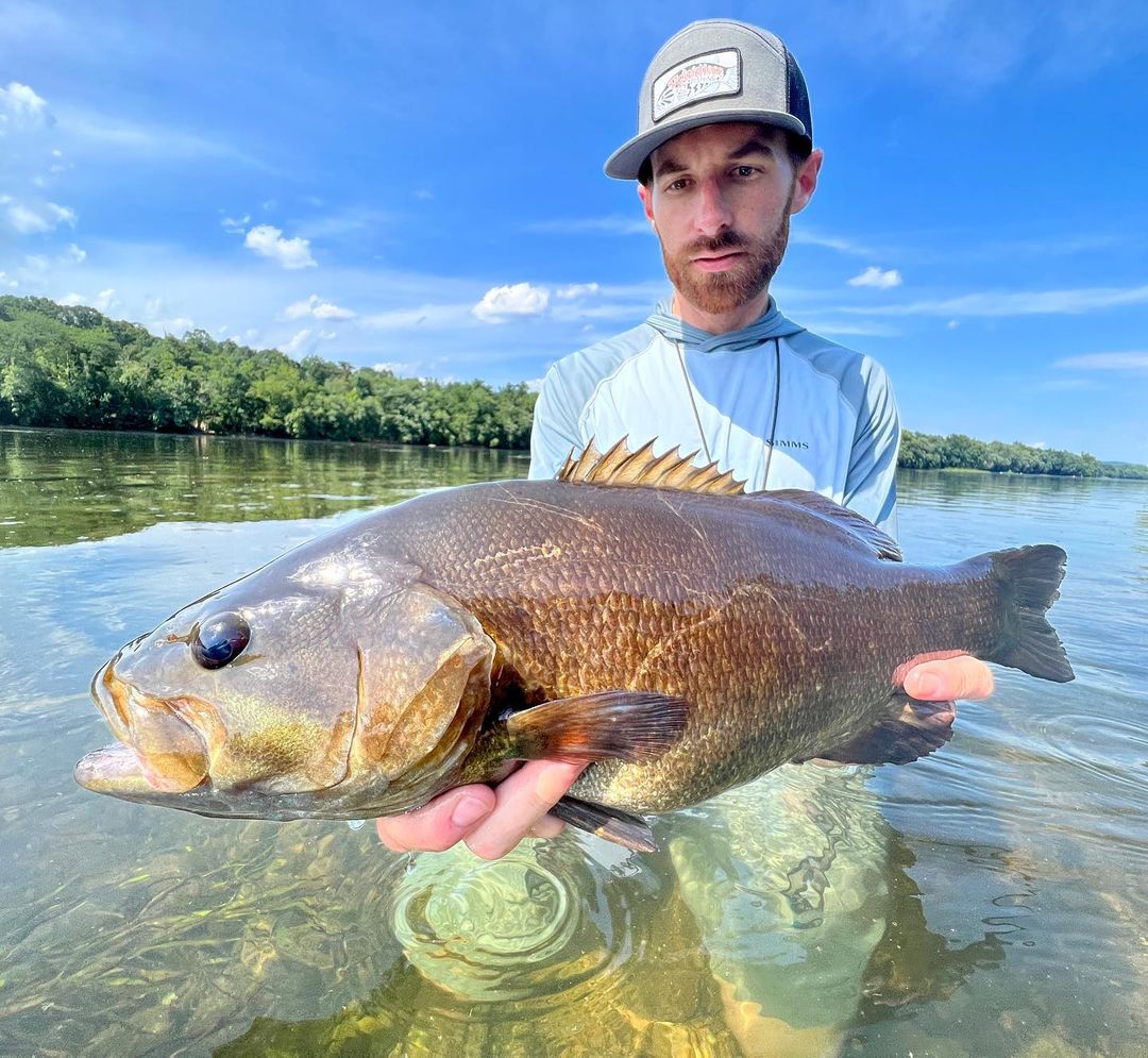 smallmouth bass flies