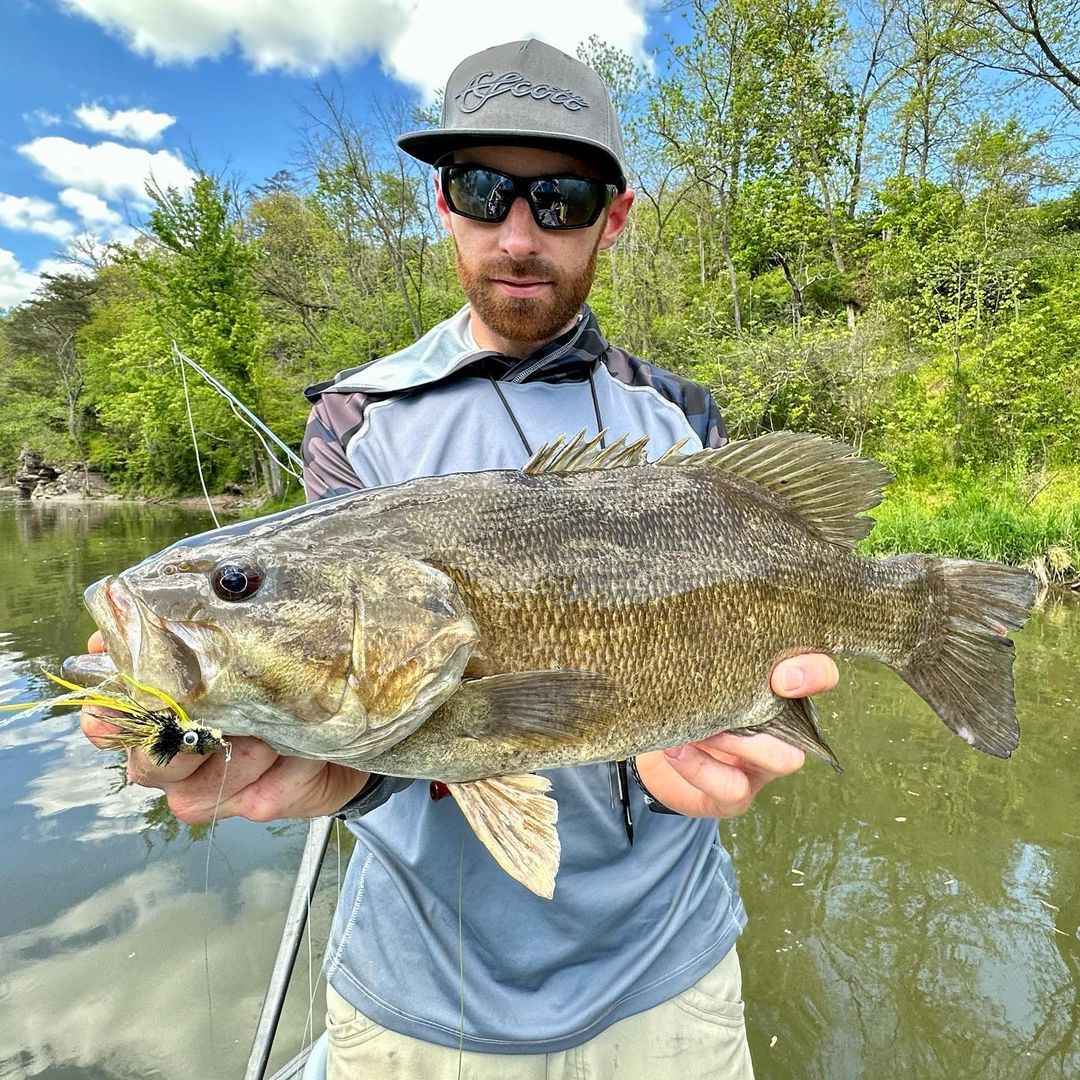 smallmouth bass flies