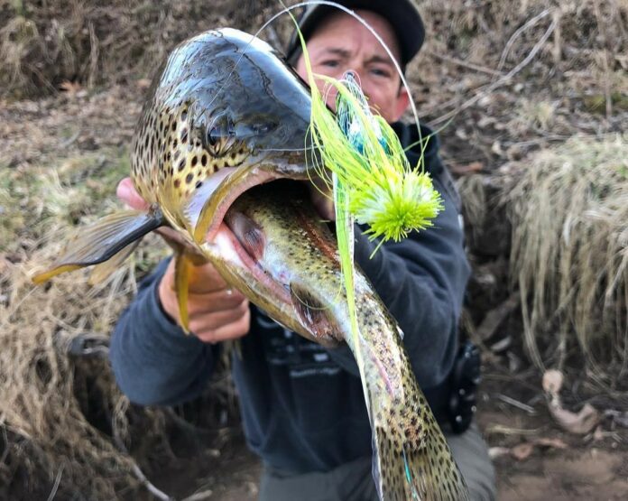 white river fly fishing