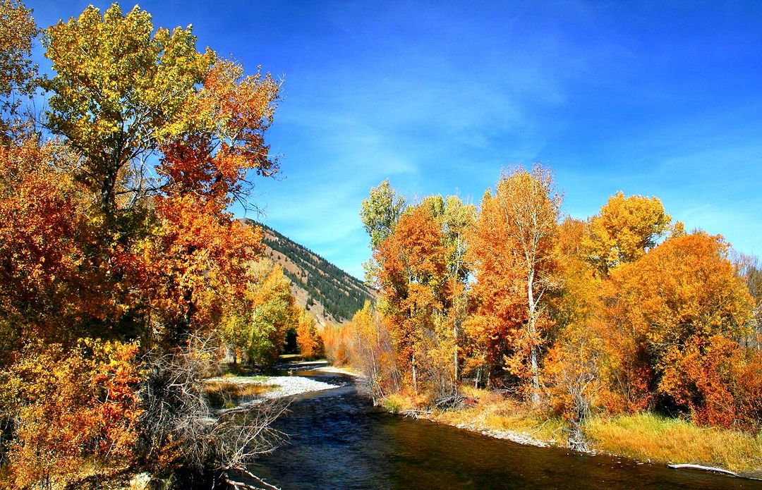 wood river land trust