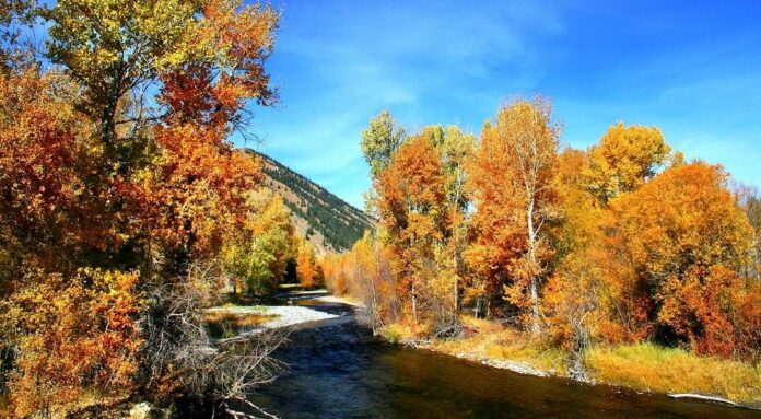 wood river land trust