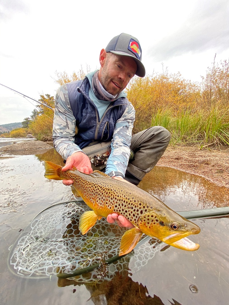 trophy trout