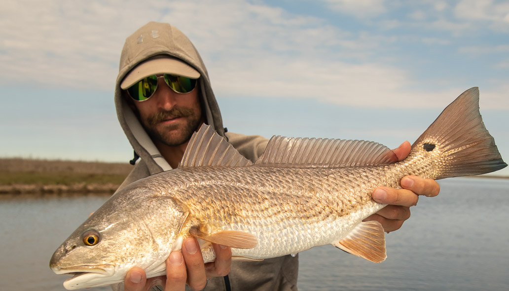 sight fishing for redfish