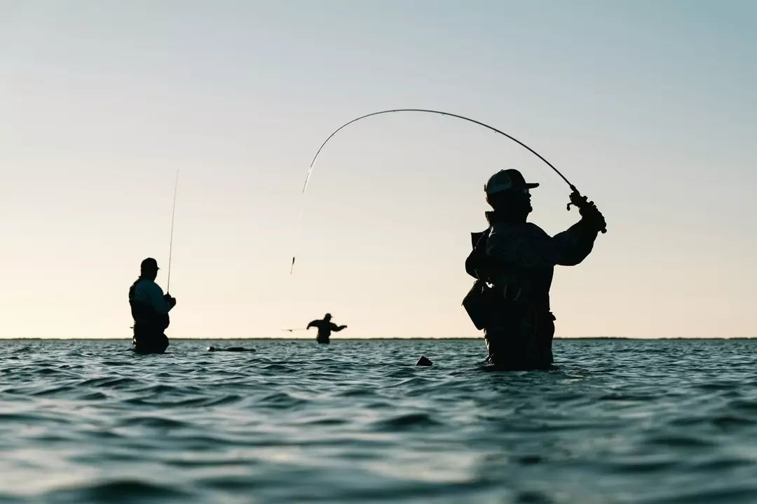 sight fishing for redfish