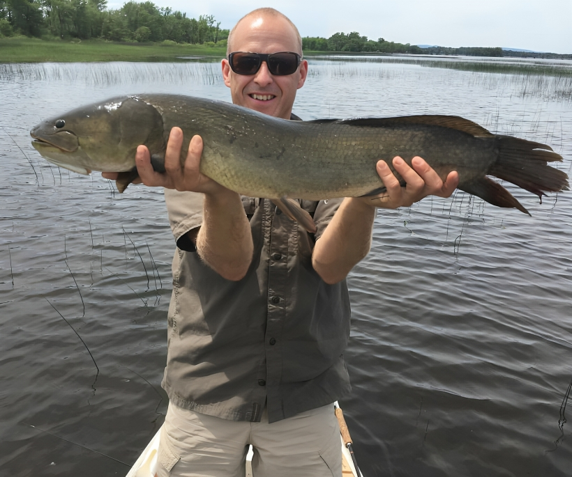 bowfin fly fishing