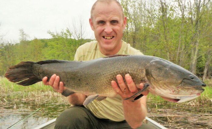 bowfin fly fishing