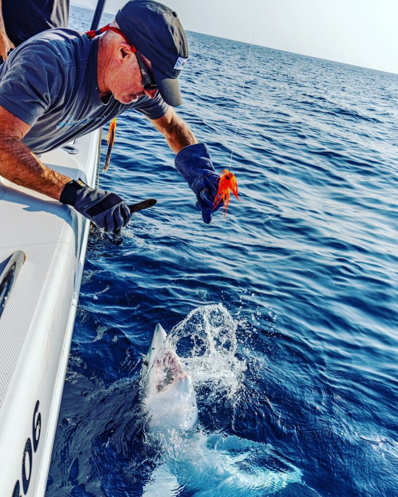 Mako Shark Fly Fishing