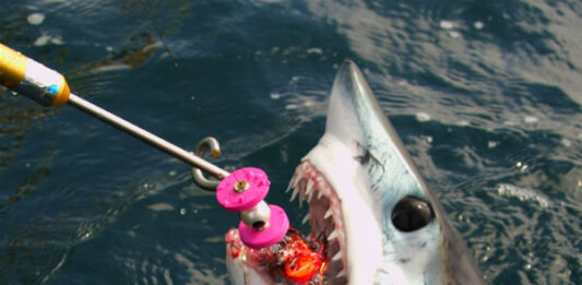 Mako Shark Fly Fishing