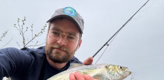 American Sportfishing Association