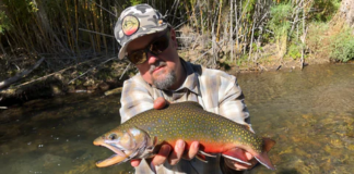 jimmy's all seasons angler