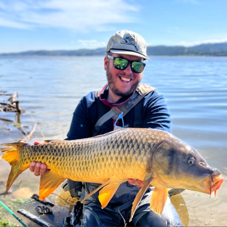 california carp