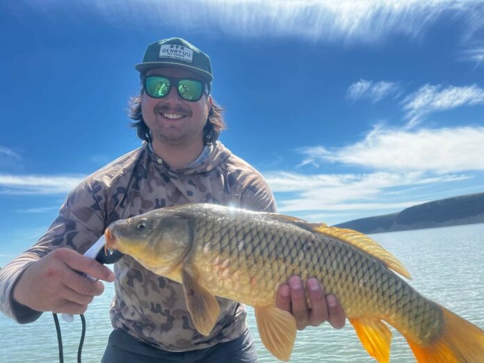 carp clave