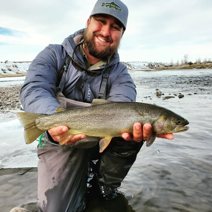 trout fly