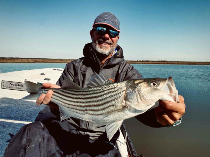 stiper fishing