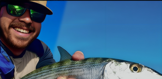 bay island expeditions