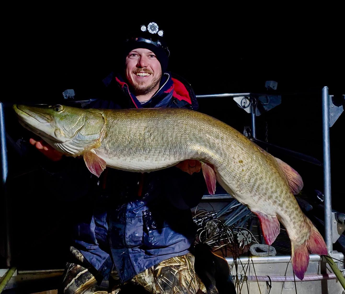 minnesota musky
