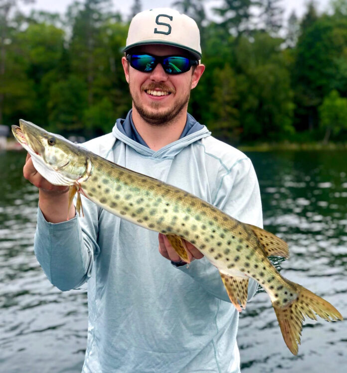 Minnesota musky