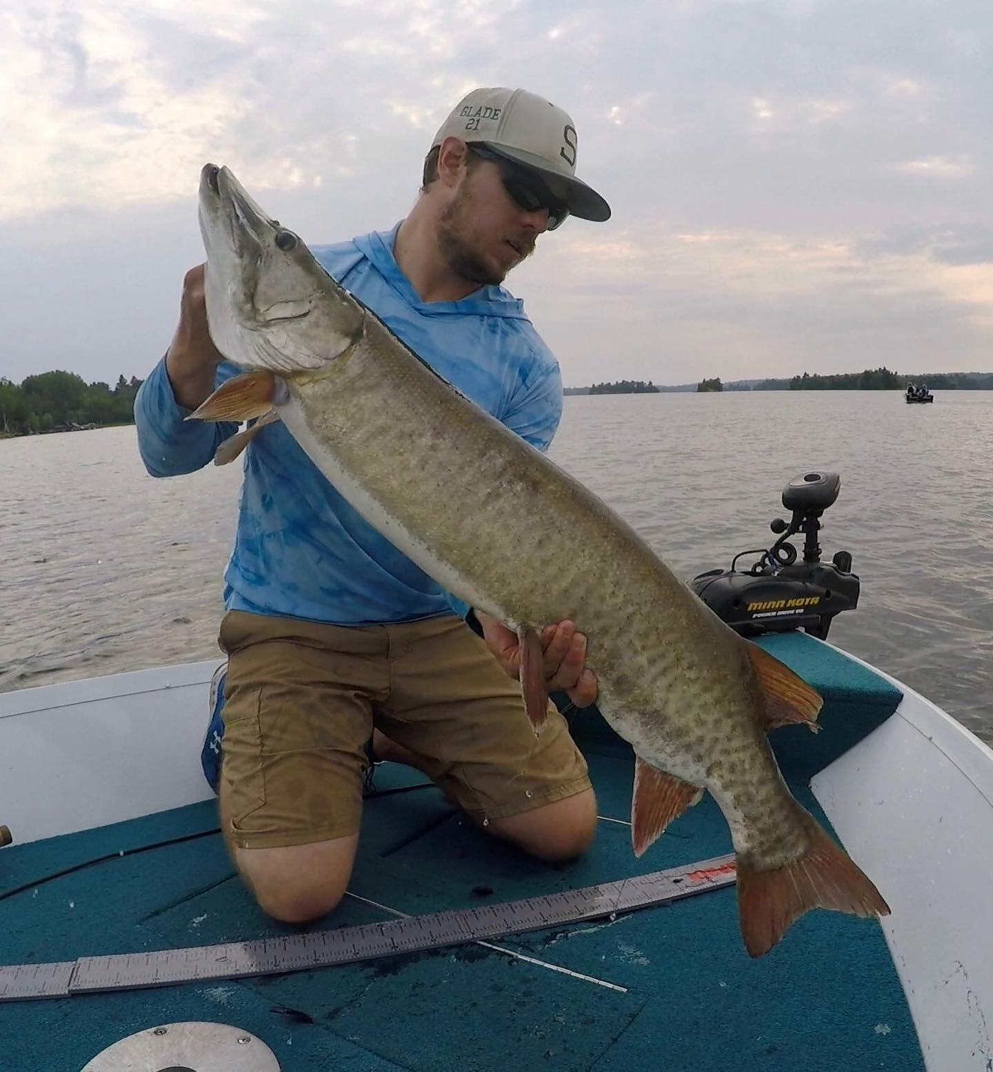 minnesota musky