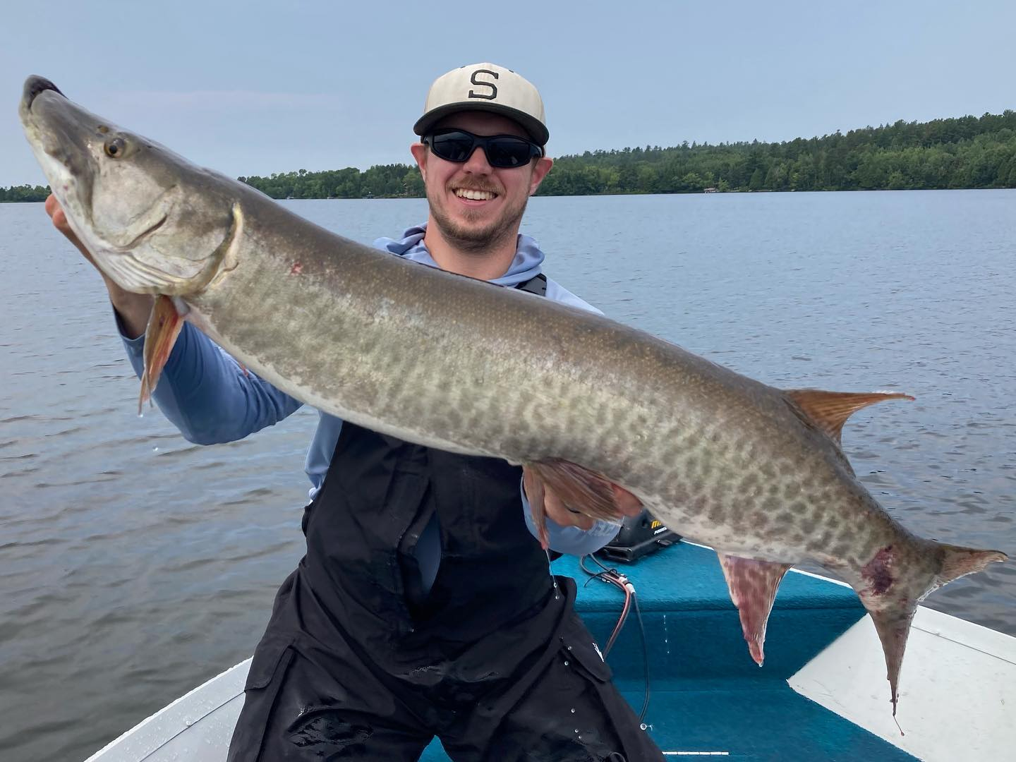 Minnesota musky