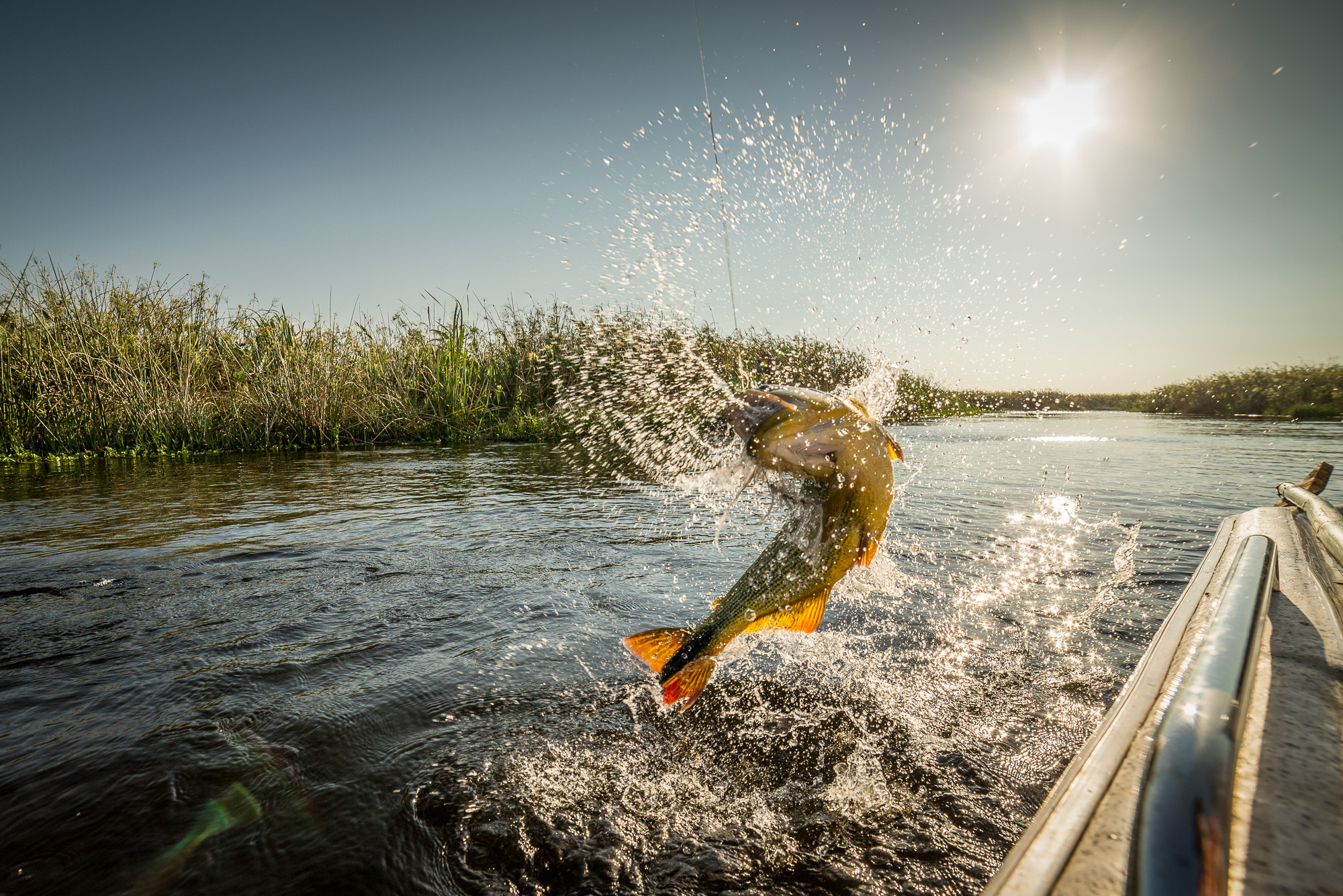 Fly Fishing Argentina