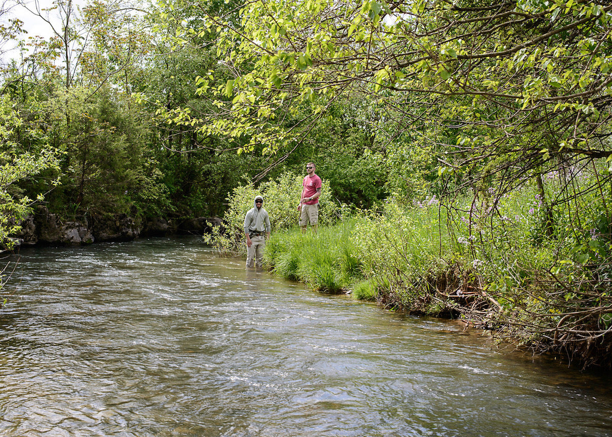 spring creek fishing