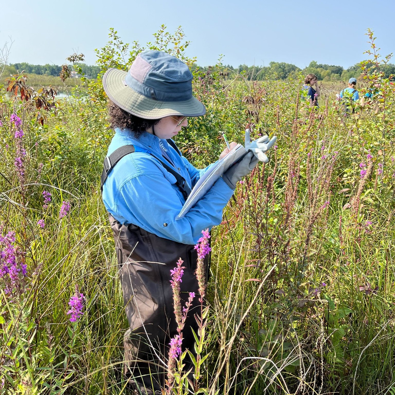 huron river watershed council