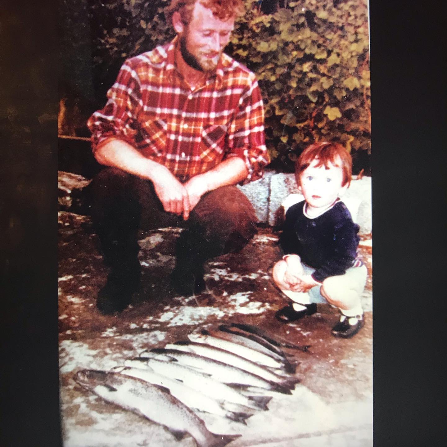 fly fishing new zealand