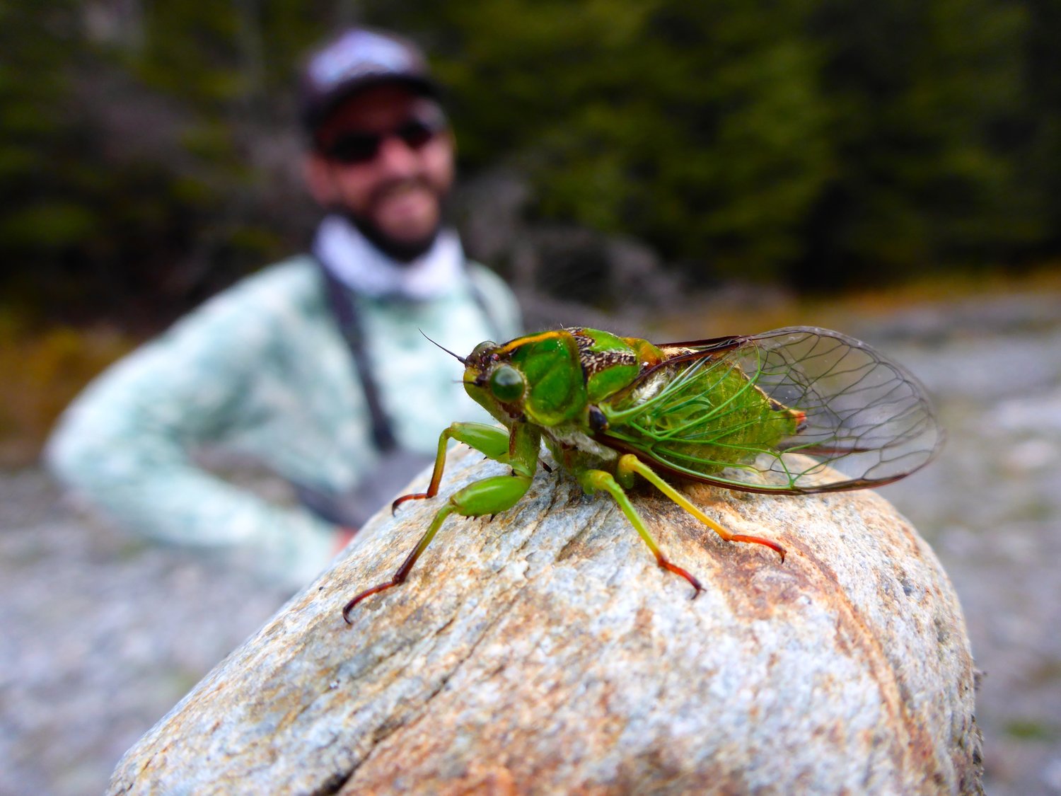 fly fishing new zealand